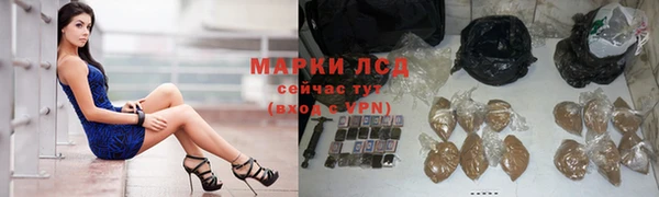 стафф Бородино
