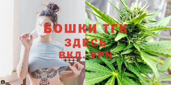 стафф Бородино