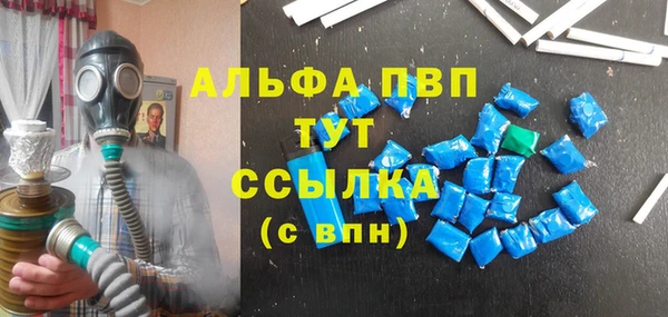 стафф Бородино