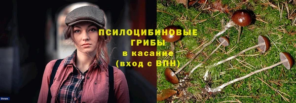 стафф Бородино
