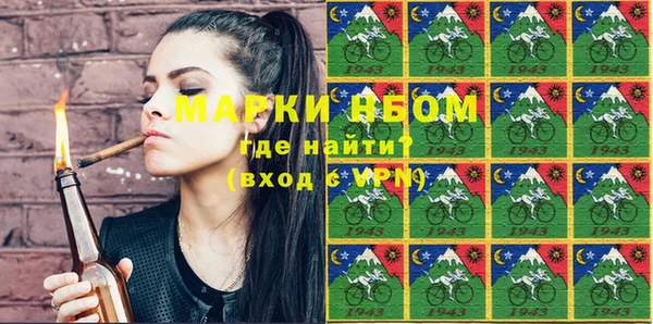 стафф Бородино