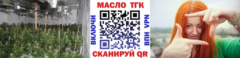 ТГК гашишное масло МЕГА ТОР Мирный купить закладку
